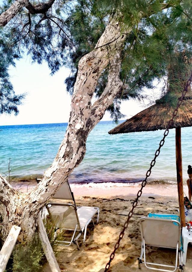 3 Room Apartment By The Beach - Free Parking Peraía 外观 照片